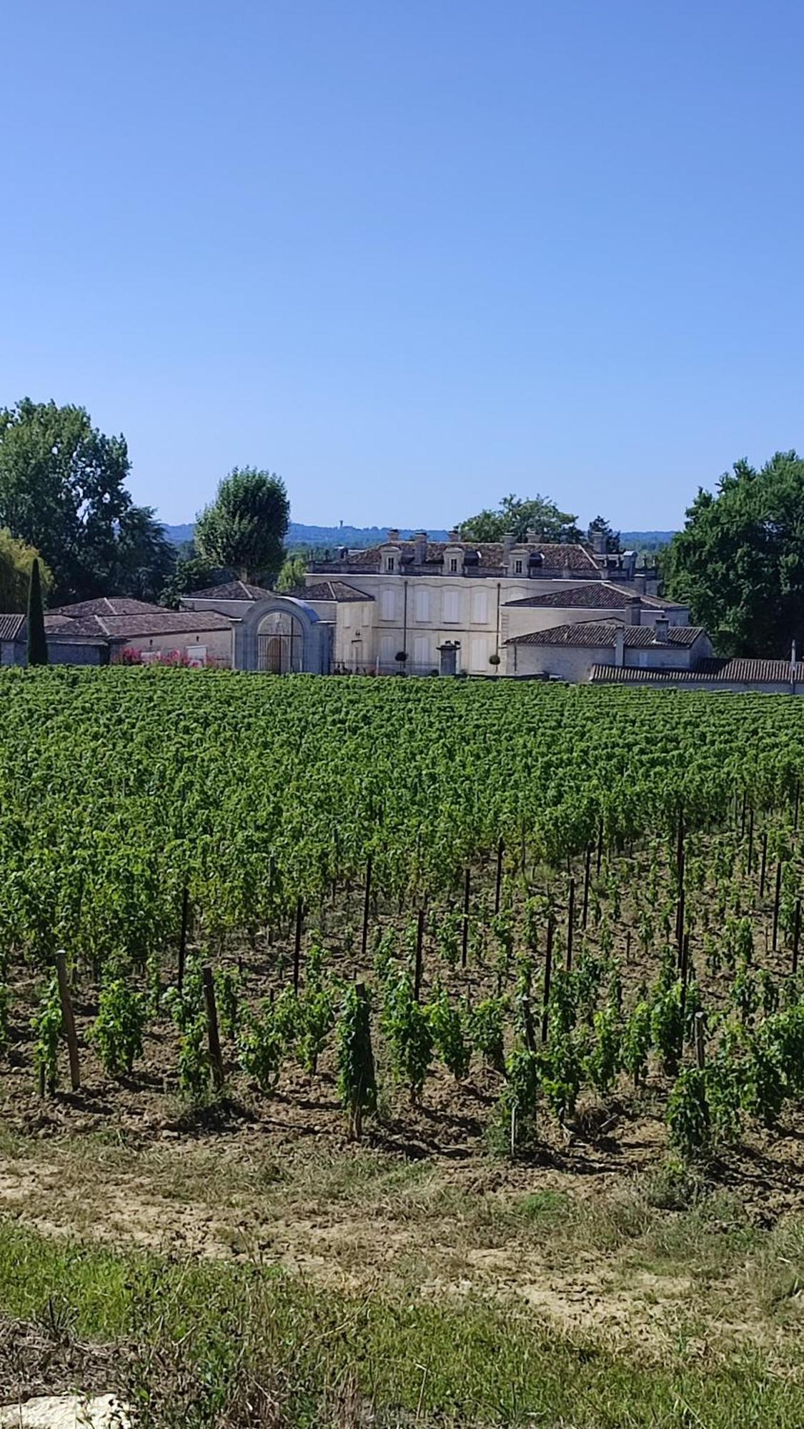 Maison Charmeilles - La Suite Saint Emilion Fronsac  Zewnętrze zdjęcie